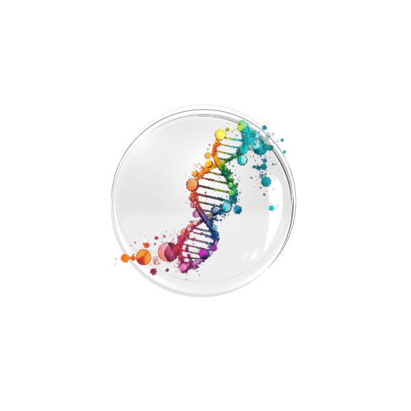 logo2
