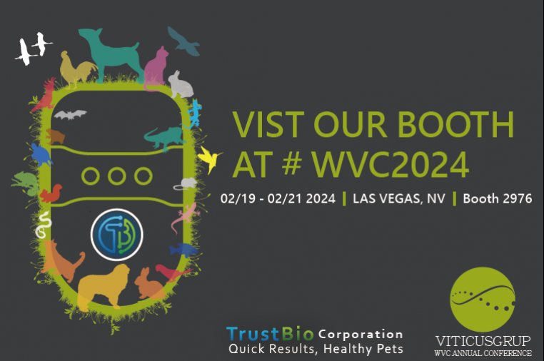 We sincerely invite you to visit us at WVC 2024!